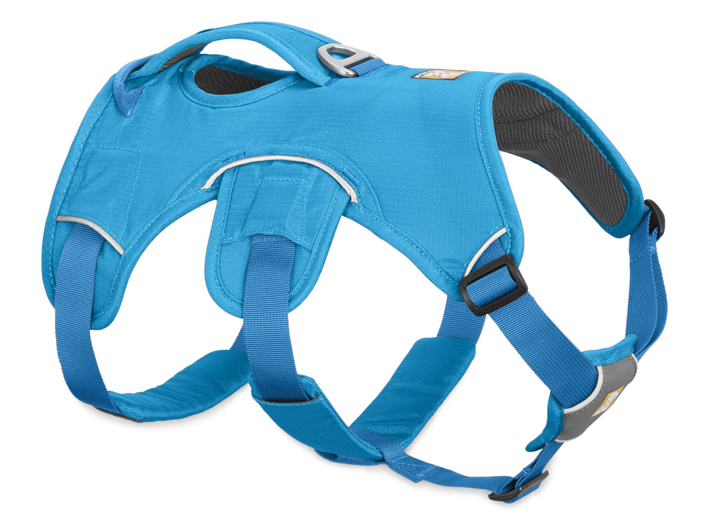 Web Master Harness