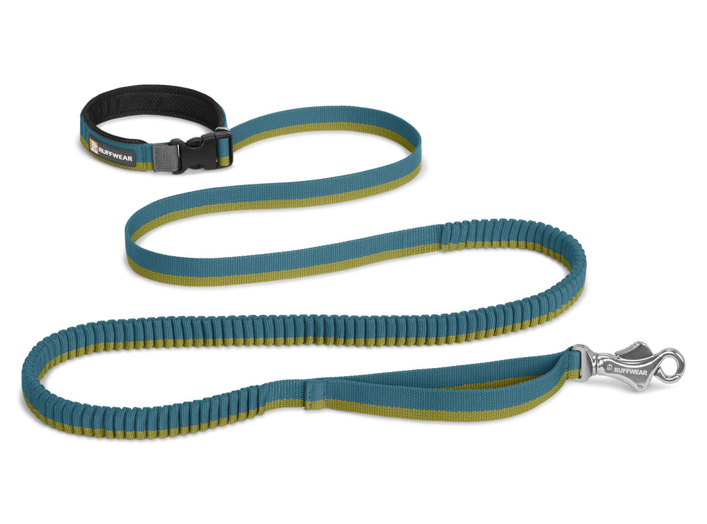 Roamer Leash