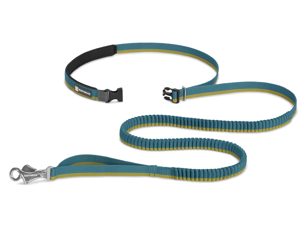 Roamer Leash