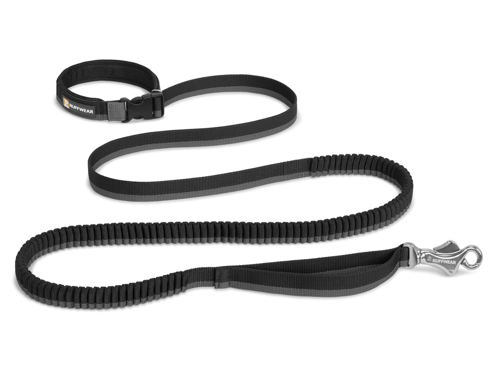 Roamer Leash