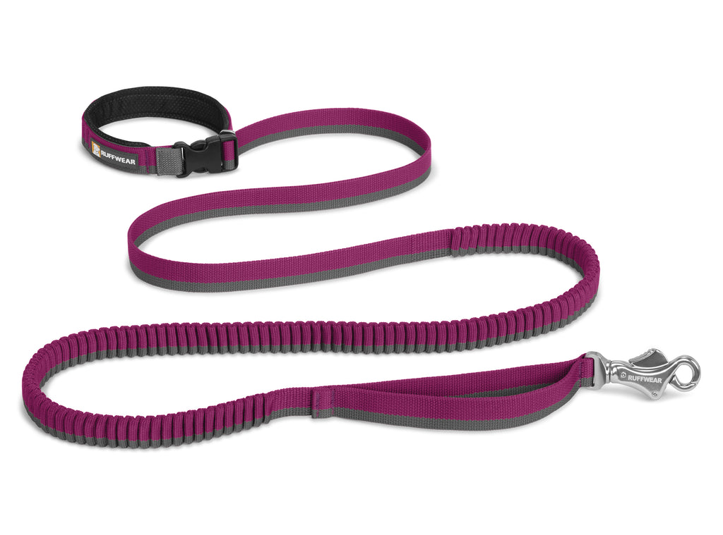 Roamer Leash