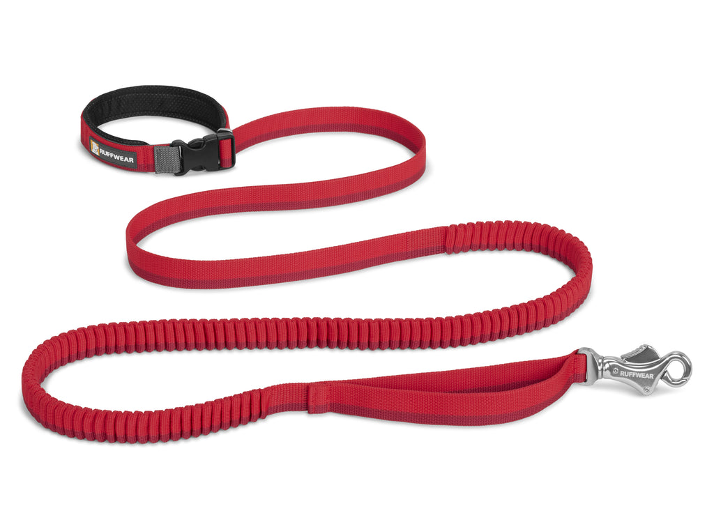 Roamer Leash