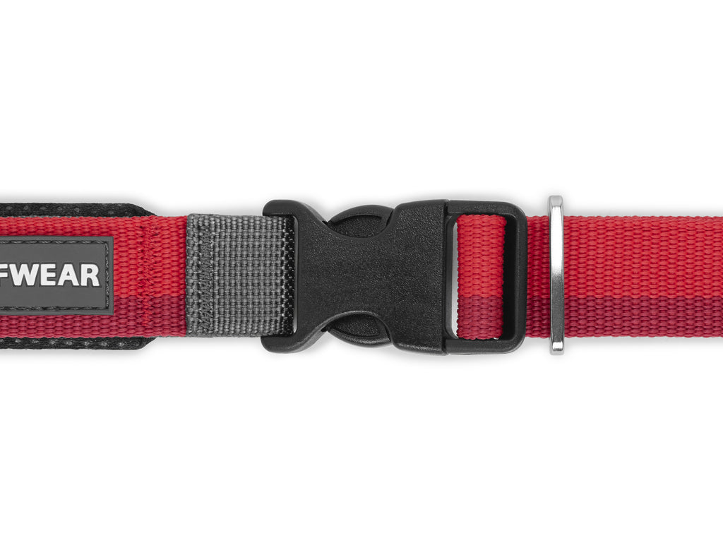 Roamer Leash