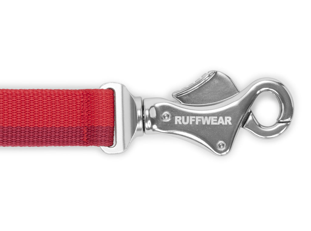 Roamer Leash