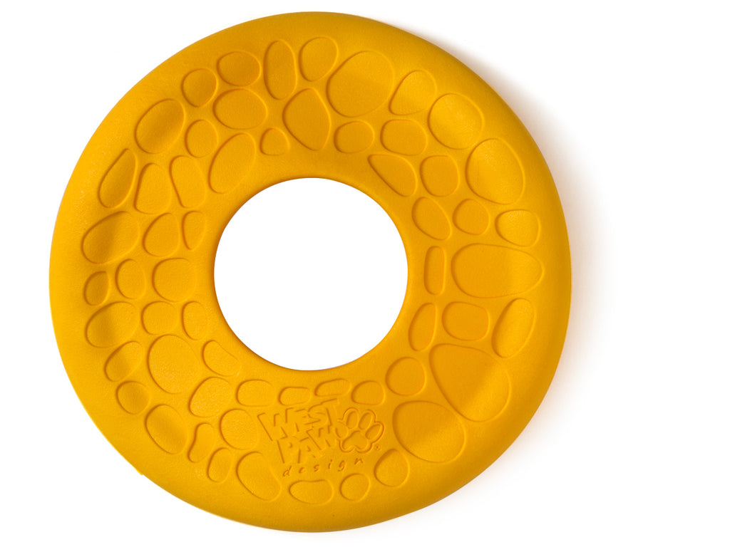 Dash Dog Frisbee