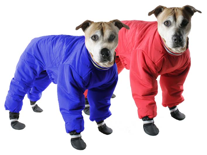 Reversible Snowsuit