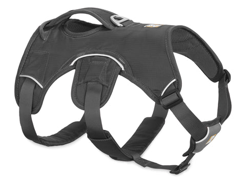 Web Master Harness