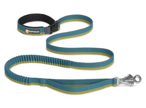 Roamer Leash