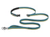 Roamer Leash