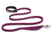 Roamer Leash