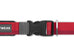 Roamer Leash