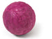 Boz Dog Ball