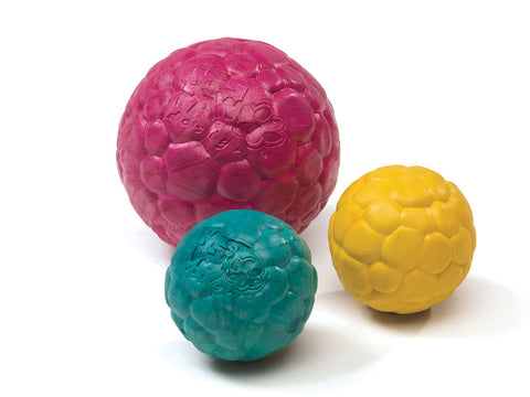 Boz Dog Ball