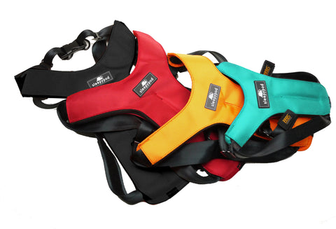 Click-It Car Harness
