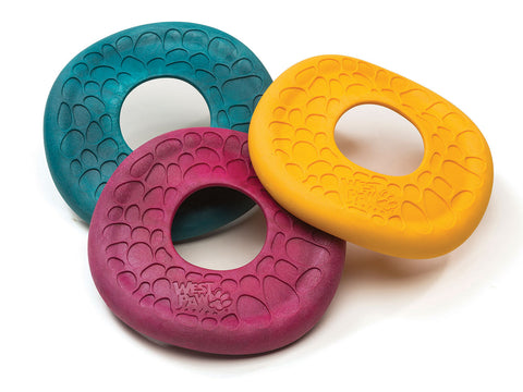 Dash Dog Frisbee