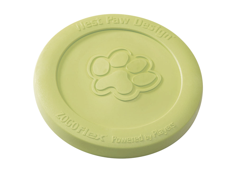 Zisc Flying Disc